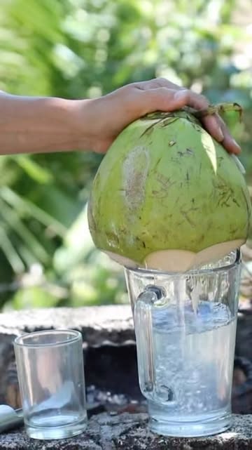 Coconut Water